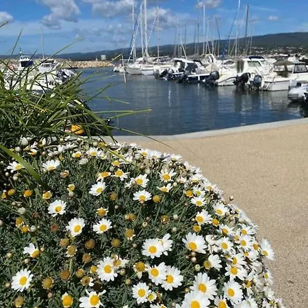 T2 Vue Avec Balcon, Climatise, Piscine